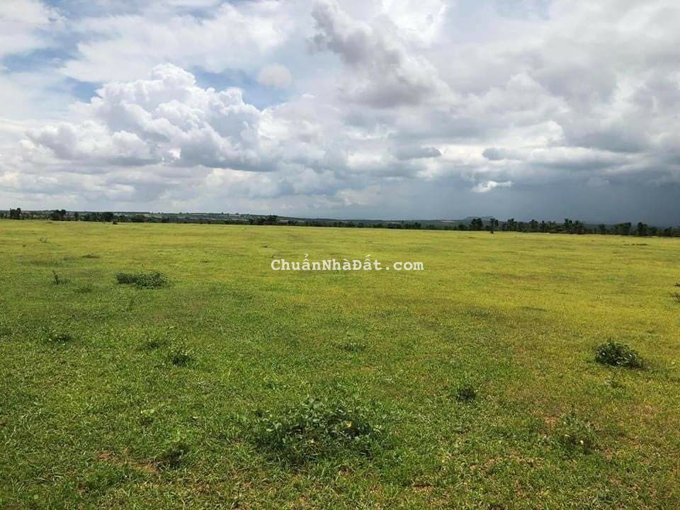 Bán 2177m2 đất vườn xã sông luỹ sổ sẵn, gần QL1A giá chỉ 267tr Lh 0938677909 xem sổ