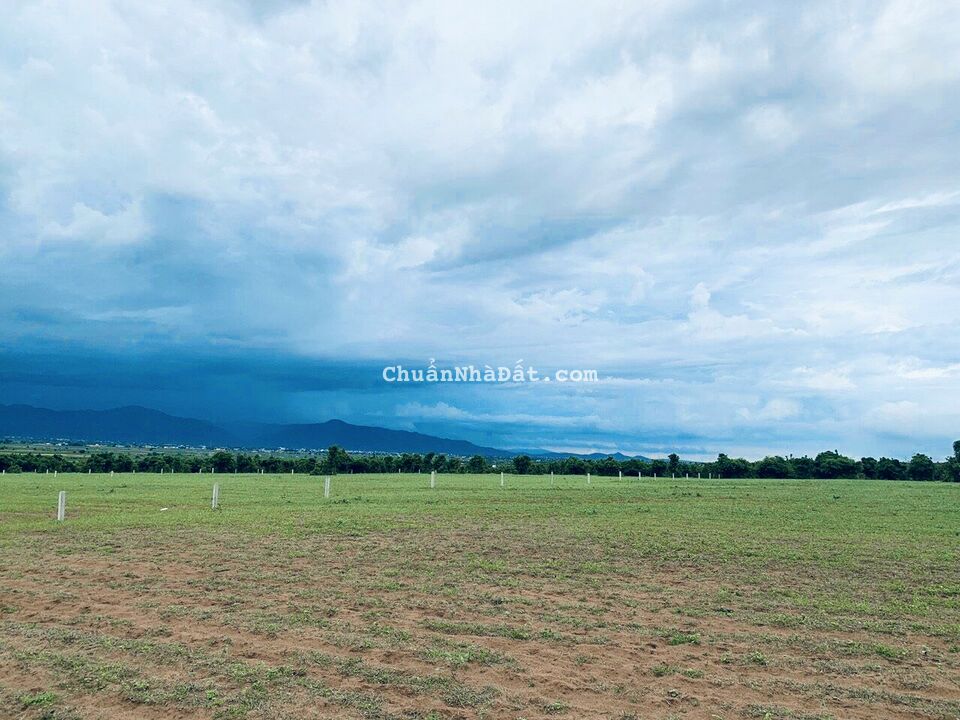 Bán 2177m2 đất vườn xã sông luỹ sổ sẵn, gần QL1A giá chỉ 267tr Lh 0938677909 xem sổ