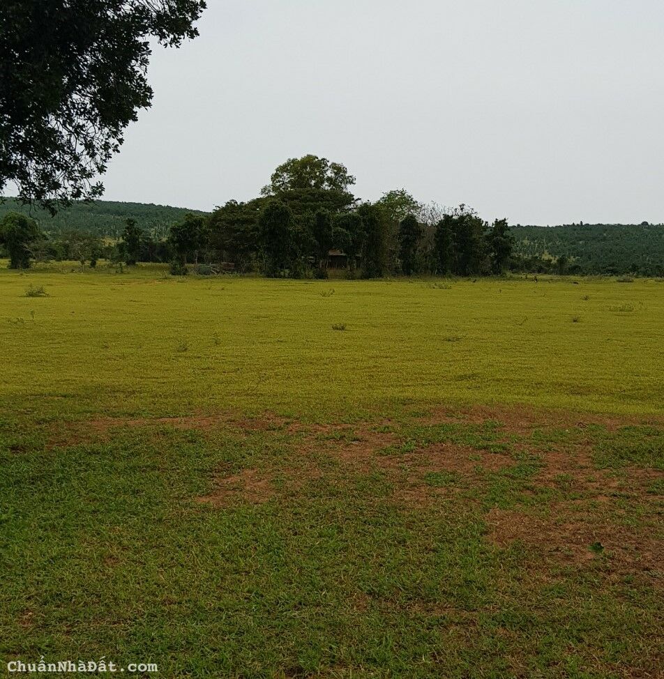 Bán 5140m2 đất vườn hồng thái sổ sẵn công chứng sang tên ngay chỉ 360tr Lh 0938677909 xem sổ