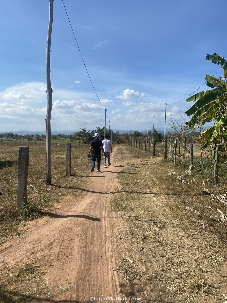 Bán 1200m2 đất vườn hồng liêm đường ô tô tận nơi, cách QL1A 600m giá 275tr Lh 0938677909 xem sổ Bán 1200m2 đất vườn hồng liêm đường ô tô tận nơi, cách QL1A 600m giá 275tr Lh 0938677909 xem sổ