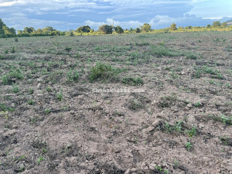 Bán 1285m2 đất vườn hồng liêm cách QL1A 700m, đường ô tô tận nơi giá chỉ 289tr Lh 0938677909 Hiền Bán 1285m2 đất vườn hồng liêm cách QL1A 700m, đường ô tô tận nơi giá chỉ 289tr Lh 0938677909 Hiền