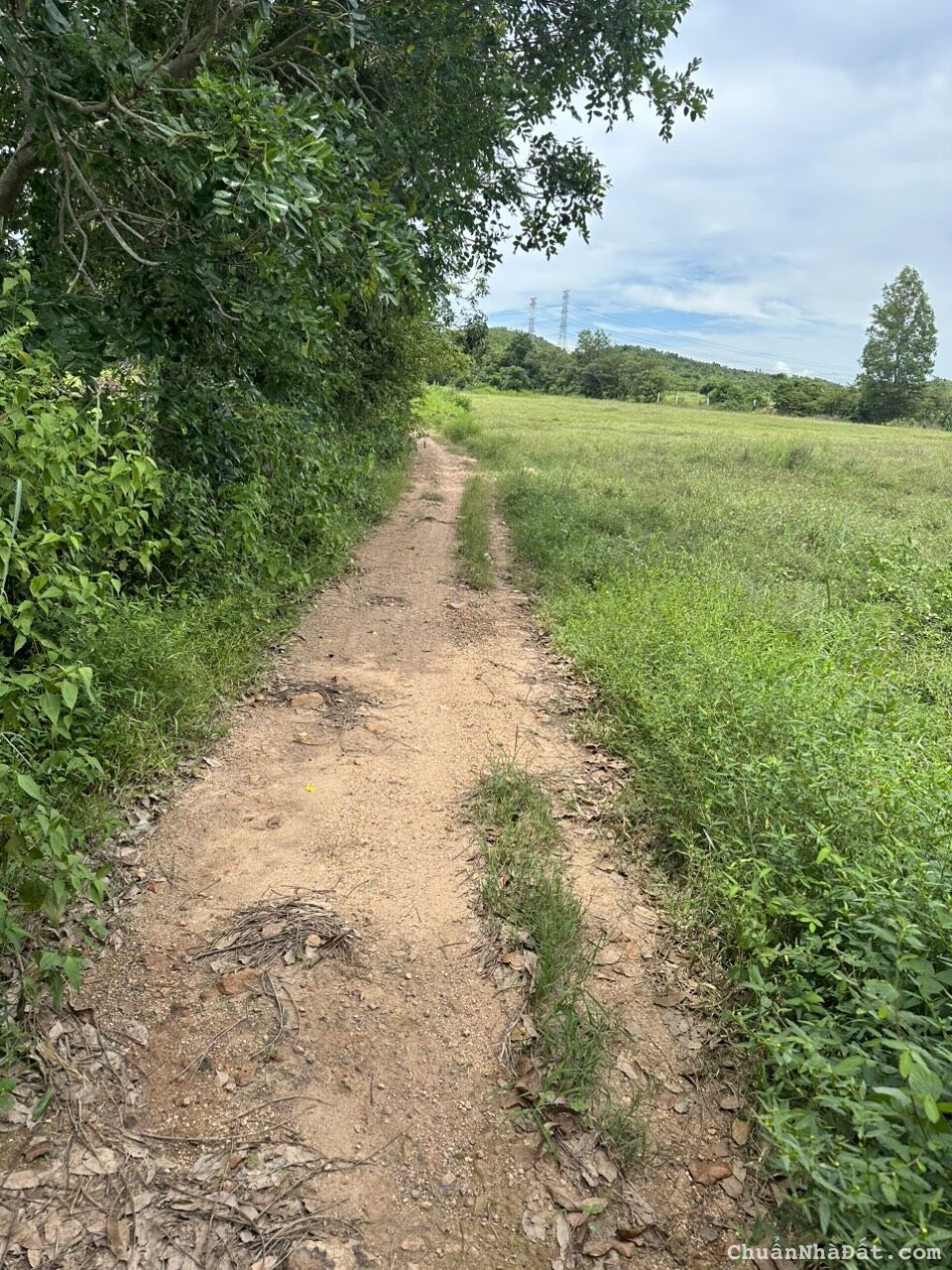 Bán 5694m2 đất CLN hồng liêm đường ô tô tận nơi giá 968tr Lh 0938677909 xem sổ Bán 5694m2 đất CLN hồng liêm đường ô tô tận nơi giá 968tr Lh 0938677909 xem sổ