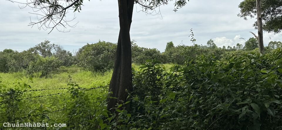 Bán 5880m2 đất CLN hồng liêm, đường ô tô tận nơi giá chỉ 1 tỷ công chứng ngay Lh 0938677909 Hiền Bán 5880m2 đất CLN hồng liêm, đường ô tô tận nơi giá chỉ 1 tỷ công chứng ngay Lh 0938677909 Hiền