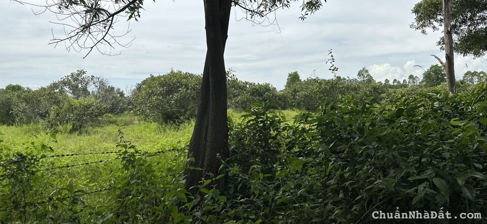 Bán 5880m2 đất CLN hồng liêm, đường ô tô tận nơi giá chỉ 1 tỷ công chứng ngay Lh 0938677909 xem sổ Bán 5880m2 đất CLN hồng liêm, đường ô tô tận nơi giá chỉ 1 tỷ công chứng ngay Lh 0938677909 xem sổ