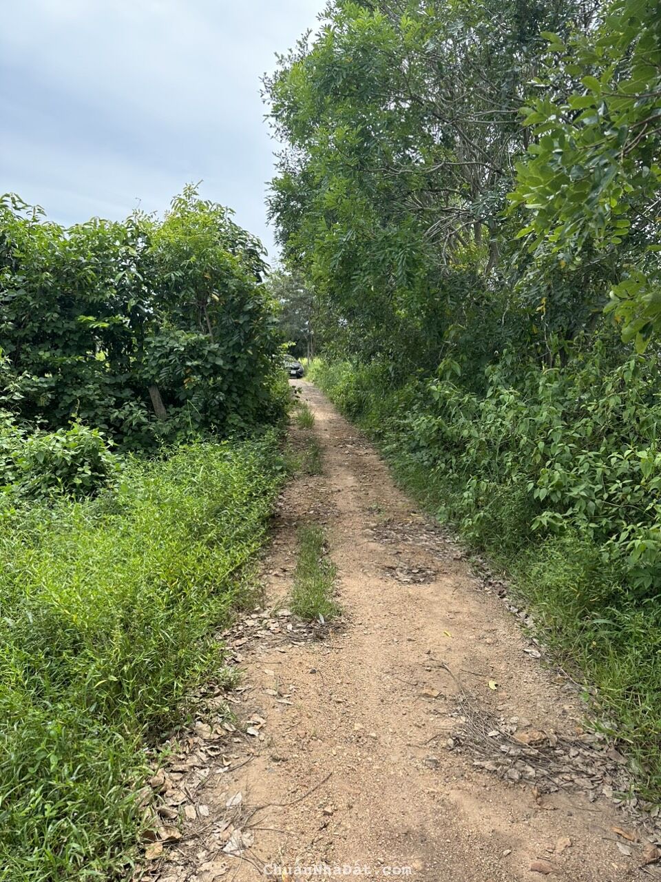 Bán 5880m2 đất CLN hồng liêm, đường ô tô tận nơi giá chỉ 1 tỷ công chứng ngay Lh 0938677909 xem sổ Bán 5880m2 đất CLN hồng liêm, đường ô tô tận nơi giá chỉ 1 tỷ công chứng ngay Lh 0938677909 xem sổ