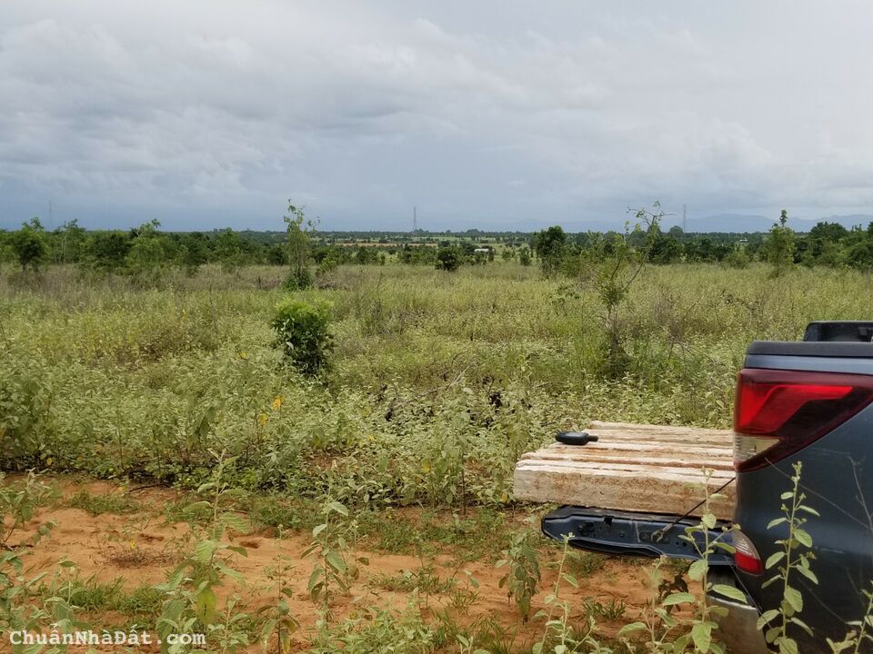 Bán 4599m2 đất vườn hoà thắng sổ vuông có đường, mặt tiền 61m giá ngộp 506tr Lh 0938677909 xem sổ Bán 4599m2 đất vườn hoà thắng sổ vuông có đường, mặt tiền 61m giá ngộp 506tr Lh 0938677909 xem sổ