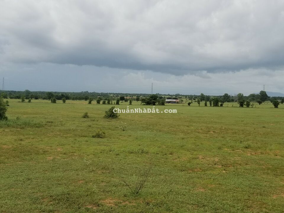 Bán 4743m2 đất vườn hoà thắng sổ vuông mặt tiền 60m cách liên huyện 200m giá 474tr Lh 0938677909