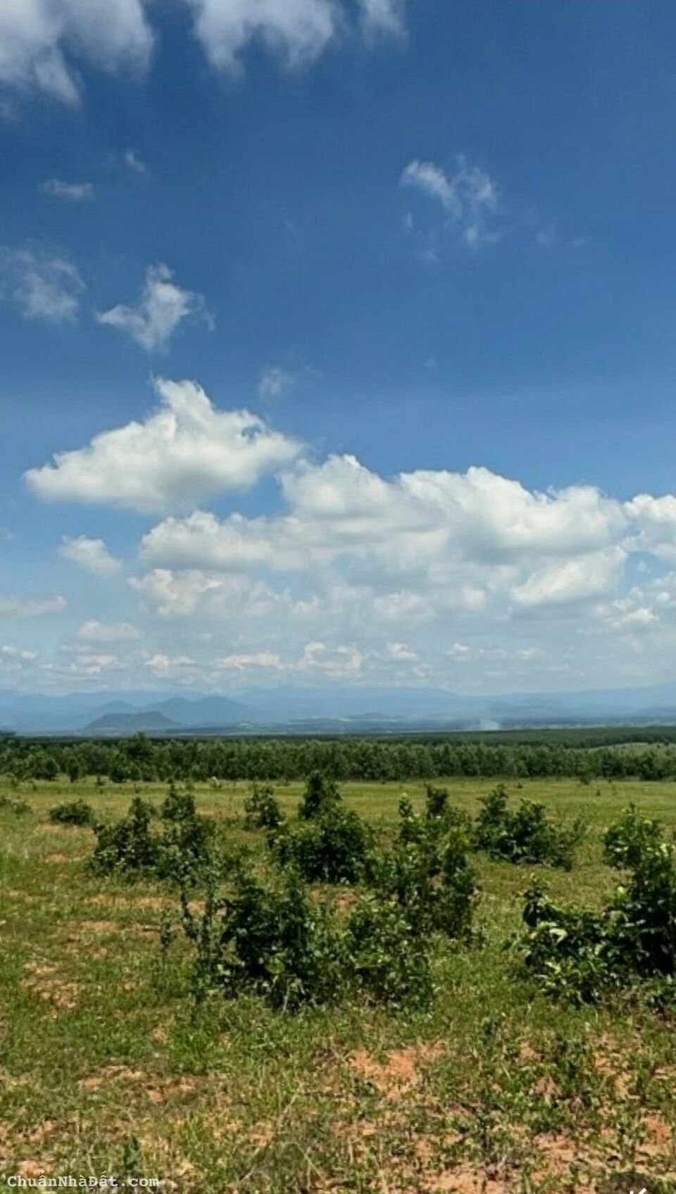 Bán 4743m2 đất CLN hoà thắng sổ vuông có đường, mặt tiền 60m gần liên huyện giá 451tr Lh 0938677909 Bán 4743m2 đất CLN hoà thắng sổ vuông có đường, mặt tiền 60m gần liên huyện giá 451tr Lh 0938677909