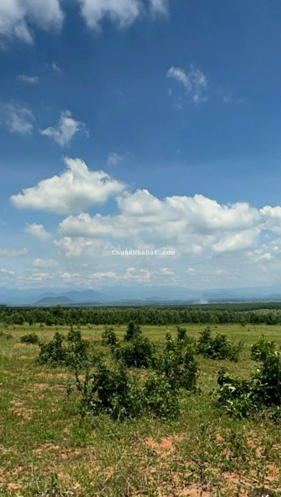 Bán 4743m2 đất vườn hoà thắng sổ vuông mặt tiền 60m cách liên huyện 200m giá 474tr Lh 0938677909