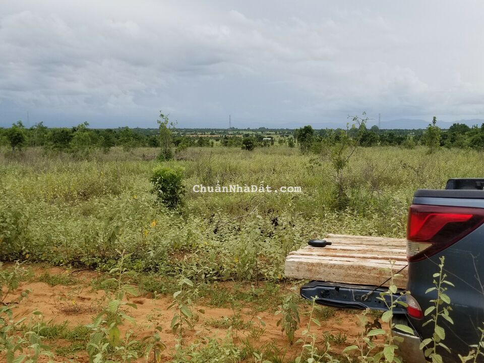 Bán 4861m2 đất sào hoà thắng sổ vuông có đường, mặt tiền 66m giá ngộp 535tr Lh 0938677909 xem sổ