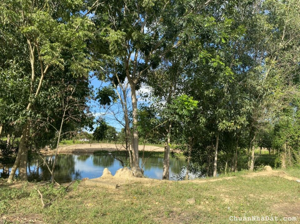 Bán 1,2ha đất vườn có sẵn hồ chứa nước siêu đẹp, đường ô tô, gần QL1A, Safari, SHR