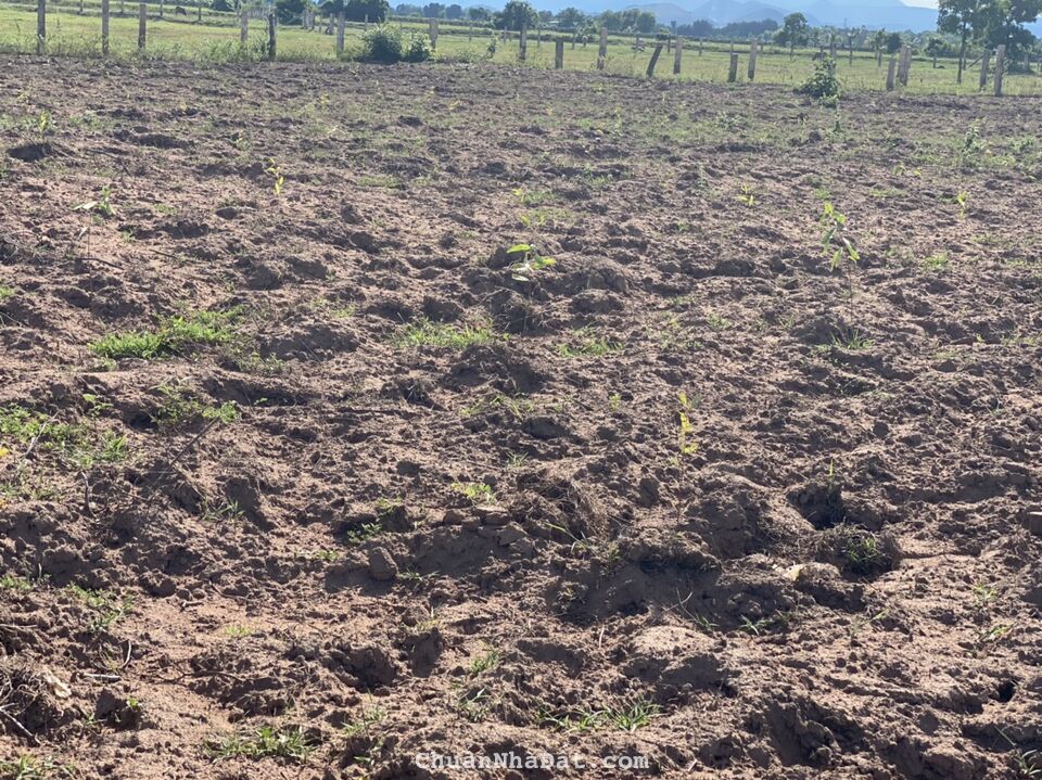 Bán 2730m2 đất vườn sổ sẵn chỉ 680 triệu, đường ô tô hiện hữu, gần QL1A, KDL Safari