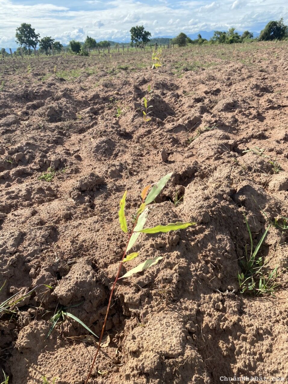 Bán 2730m2 đất vườn sổ sẵn chỉ 680 triệu, đường ô tô hiện hữu, gần QL1A, KDL Safari