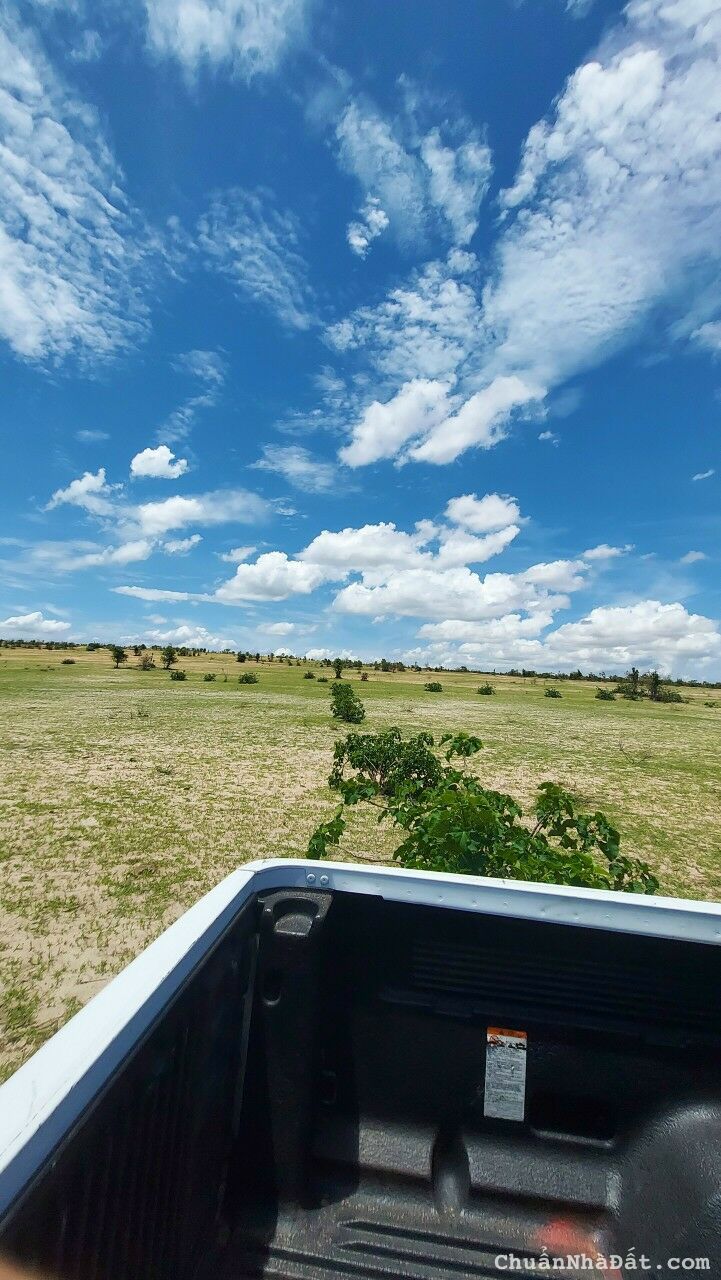 Hơn 2000m2 chỉ 270 triệu, SHR, gần QL1A, KDL Safari, cao tốc Bắc - Nam