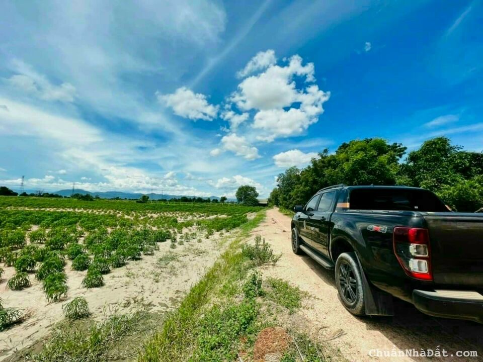 Bán 4200m2 đất vườn Bắc Bình, chỉ 610 triệu, gần QL1A, khu du lịch, nông nghiệp công nghệ cao, SHR