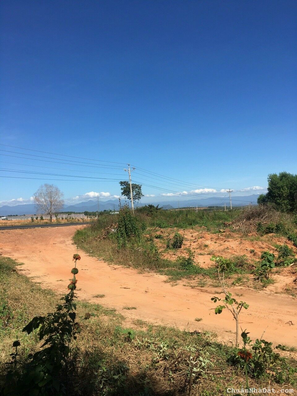 Bán 11.656m2 đất Hòa Thắng giá 170k/m2, cách đường 716 chỉ 1km, SHR