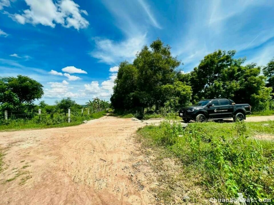 Bán 2100m2 đất gần Quốc lộ 1A giá 265 triệu, SHR, bao mọi chi phí sang tên