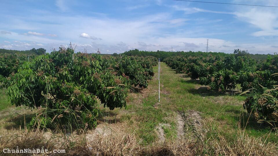 Đất nền siêu hót còn 2 lô cuối Đất nền siêu hót còn 2 lô cuối