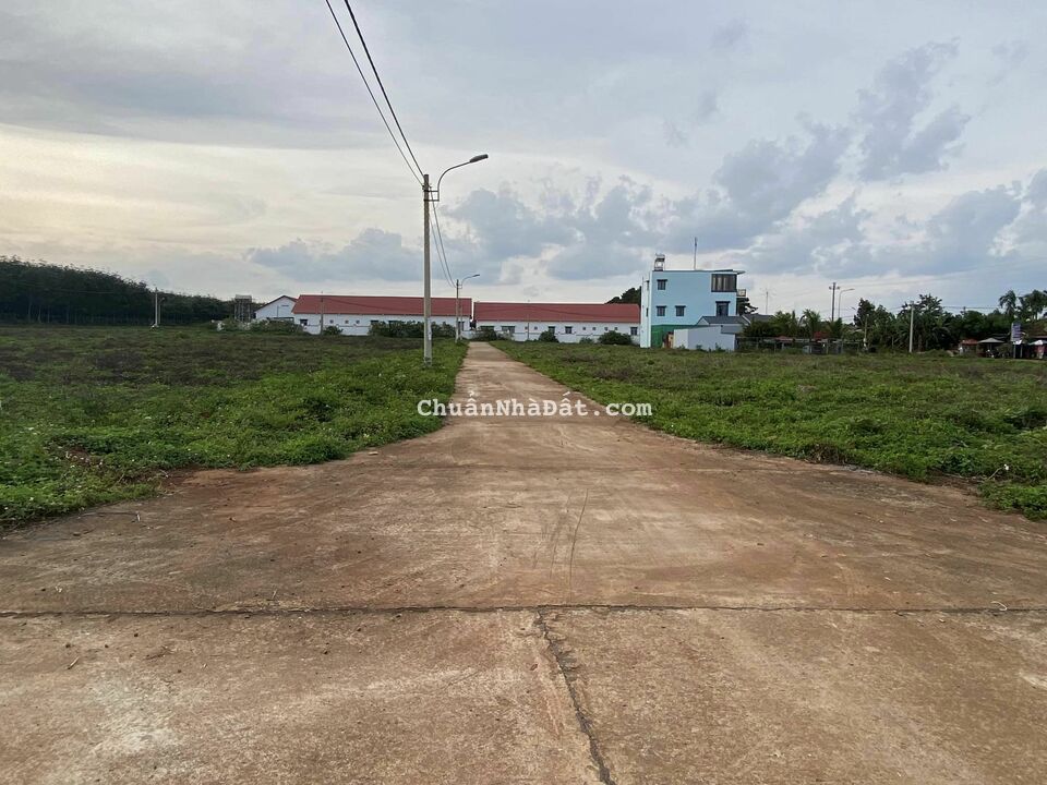 bán đất nền sổ đỏ tại trung tâm huyện Krông Năng diện tích 132m2 giá 900tr/nền bán đất nền sổ đỏ tại trung tâm huyện Krông Năng diện tích 132m2 giá 900tr/nền