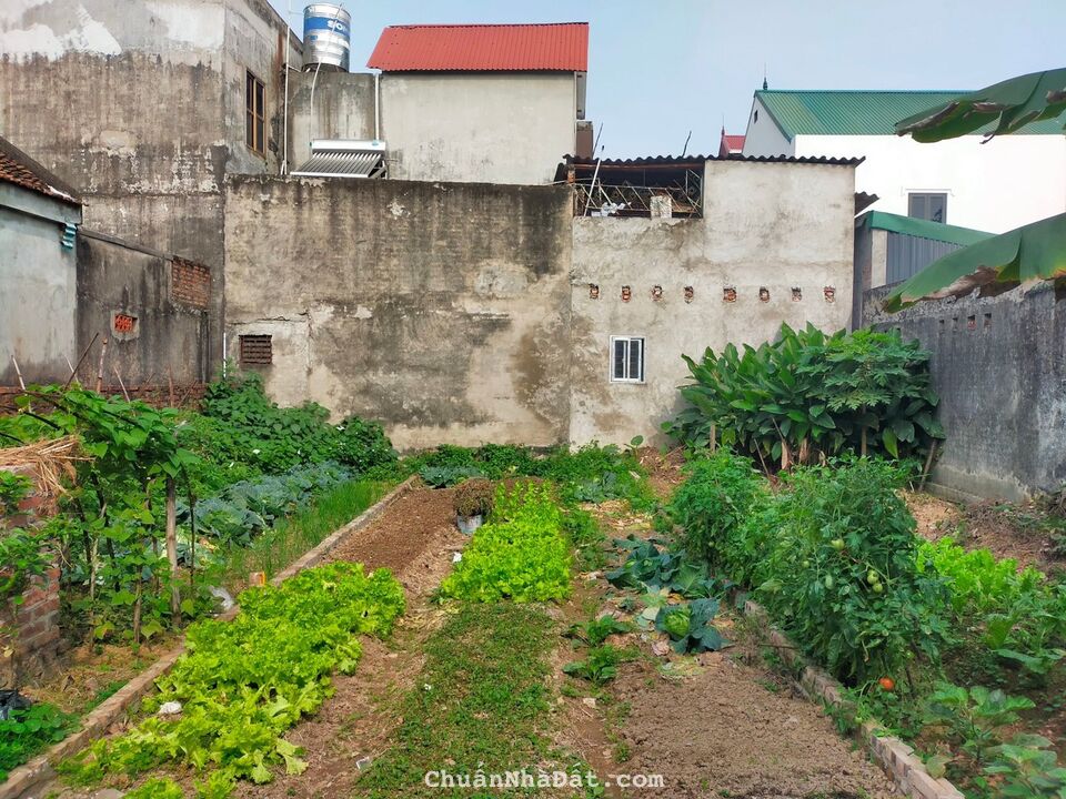 Chỉ với 1,5 tỷ có ngay mảnh đất chợ Sa - Cổ Loa ô tô đỗ cửa