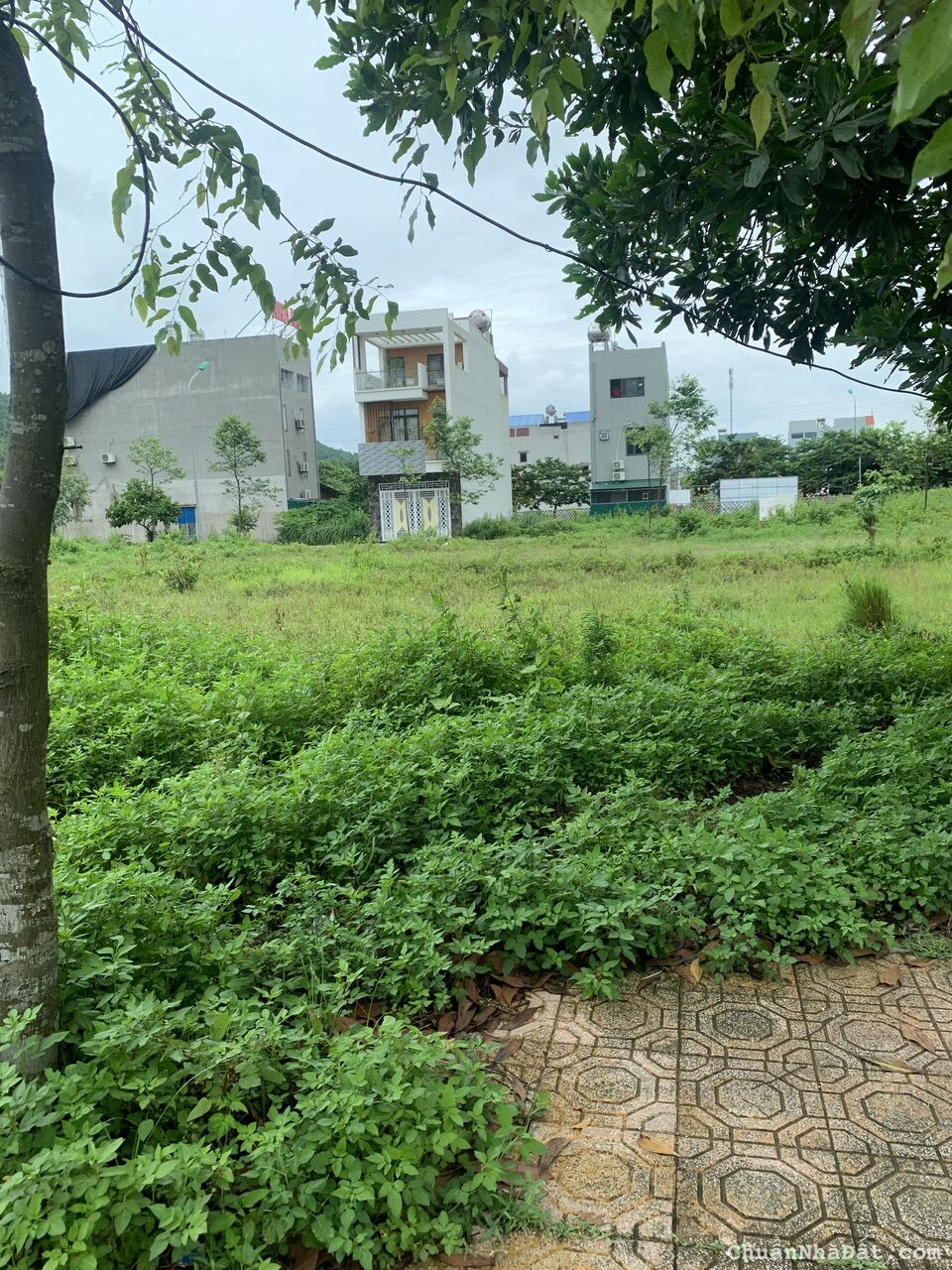 CẮT LỖ SỐC LÔ ĐẤT TẠI LẠC PHÚ 1 LIÊN HỆ 0339473868