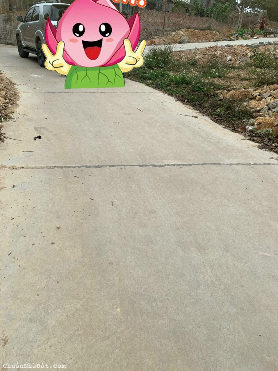 Bắt đáy thị trường đất Lục Nam giá cắt lỗ chỉ 500