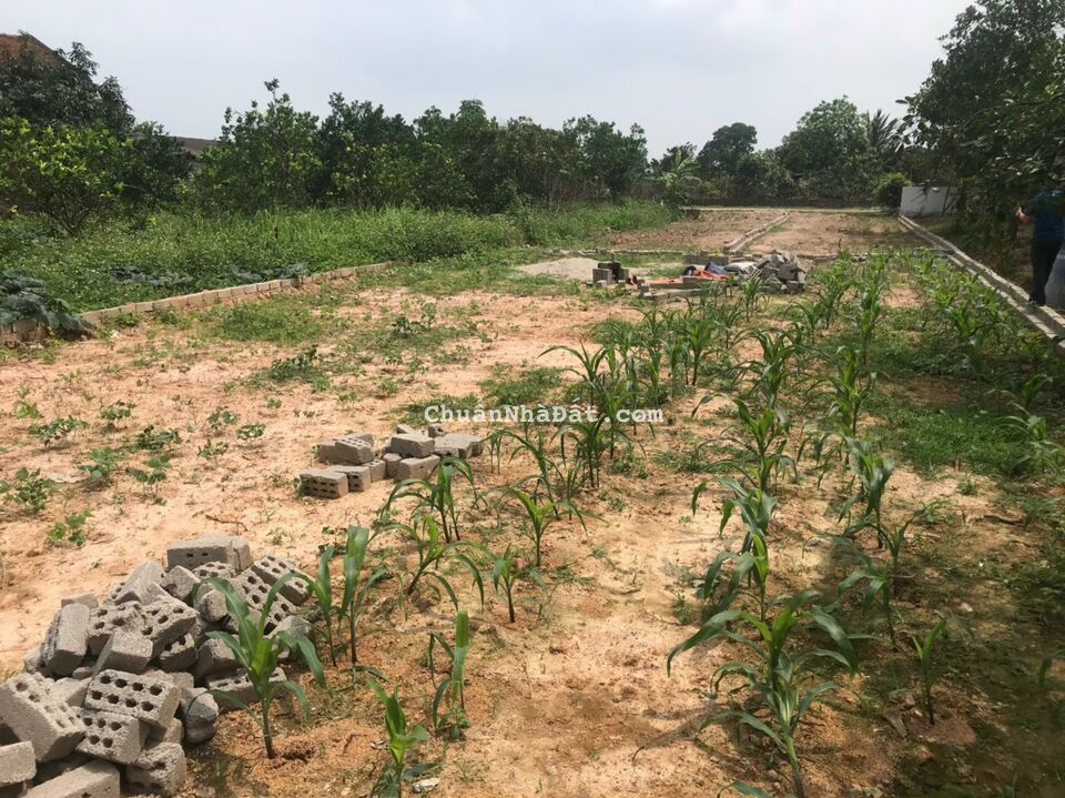 Cắt lỗ sâu lô đất tại Hiệp Hòa giá chỉ 4XX full thổ cư liên hệ 0339473868