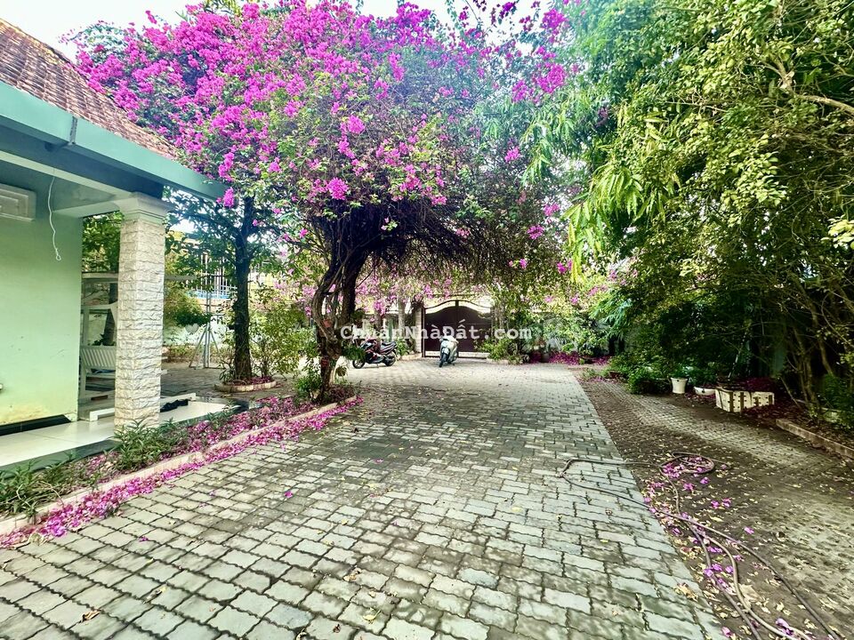 Bán đất tặng biệt thự sân vườn 1200m2 MT Huỳnh Tấn Phát, Nhà Bè, 64 tỷ 8