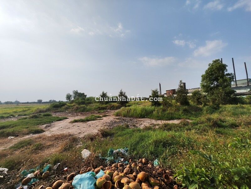 Chuyển nhượng đại dự án 6 Hecta đất MT Võ Văn Bích, Bình Mỹ, Củ Chi TP.HCM