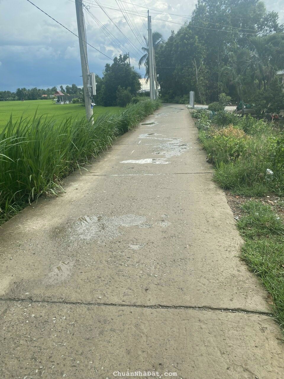 Nhà bán đường ô tô ấp 4 xã nhị thành.huyện thủ thừa long an