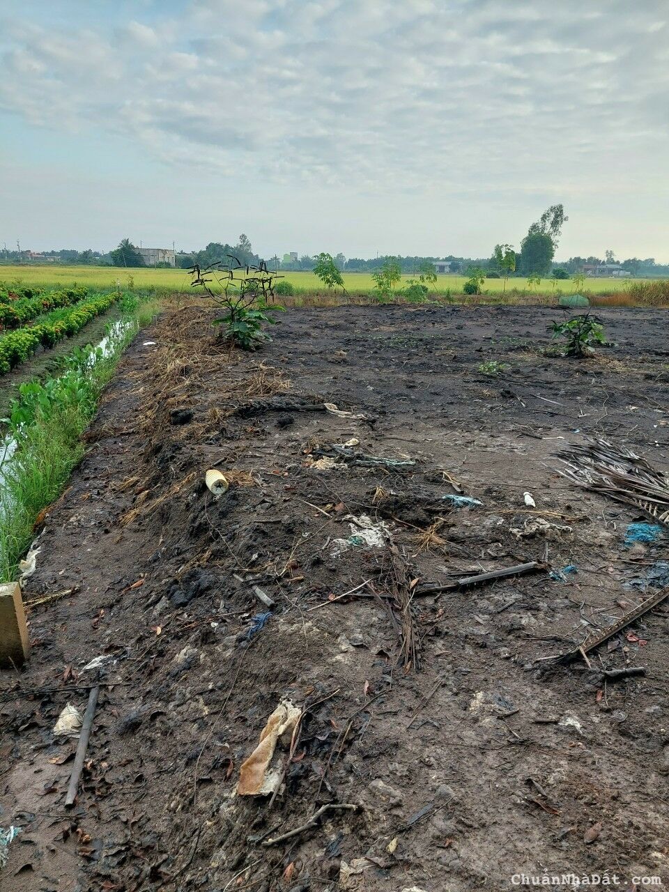 Đất vườn giá rẻ đường ô tô cặp kênh xã mỷ an. Thủ thừa.long an Đất vườn giá rẻ đường ô tô cặp kênh xã mỷ an. Thủ thừa.long an