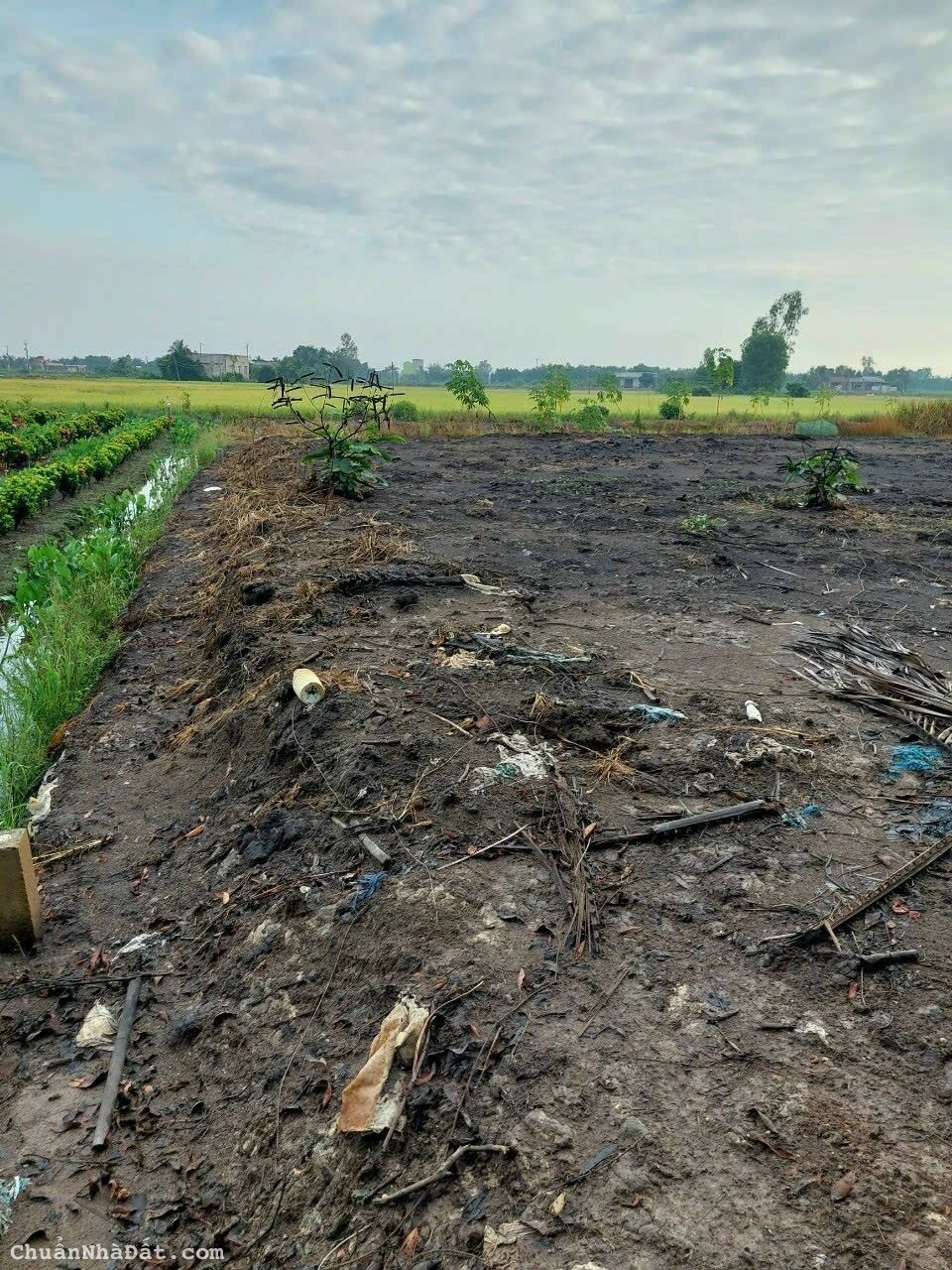 Đất vườn giá rẻ xã mỷ an huyện thủ thừa.tỉnh long an Đất vườn giá rẻ xã mỷ an huyện thủ thừa.tỉnh long an