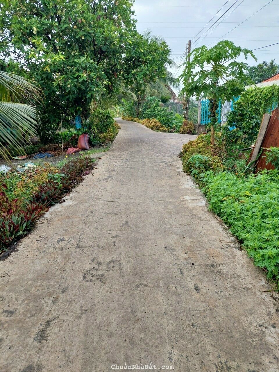 Đất vườn giá rẻ đường ô tô cặp kênh xã mỷ an. Thủ thừa.long an Đất vườn giá rẻ đường ô tô cặp kênh xã mỷ an. Thủ thừa.long an