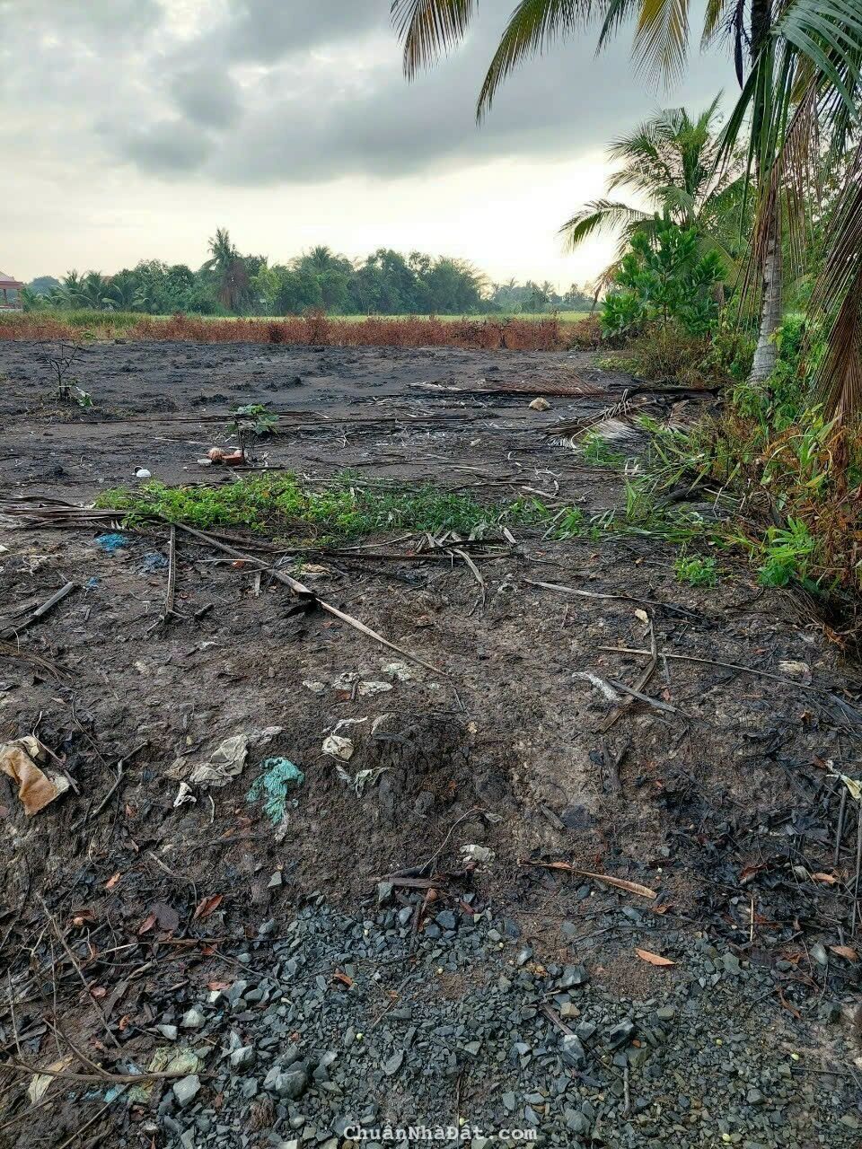 Đất vườn giá rẻ xã mỷ an huyện thủ thừa.tỉnh long an Đất vườn giá rẻ xã mỷ an huyện thủ thừa.tỉnh long an