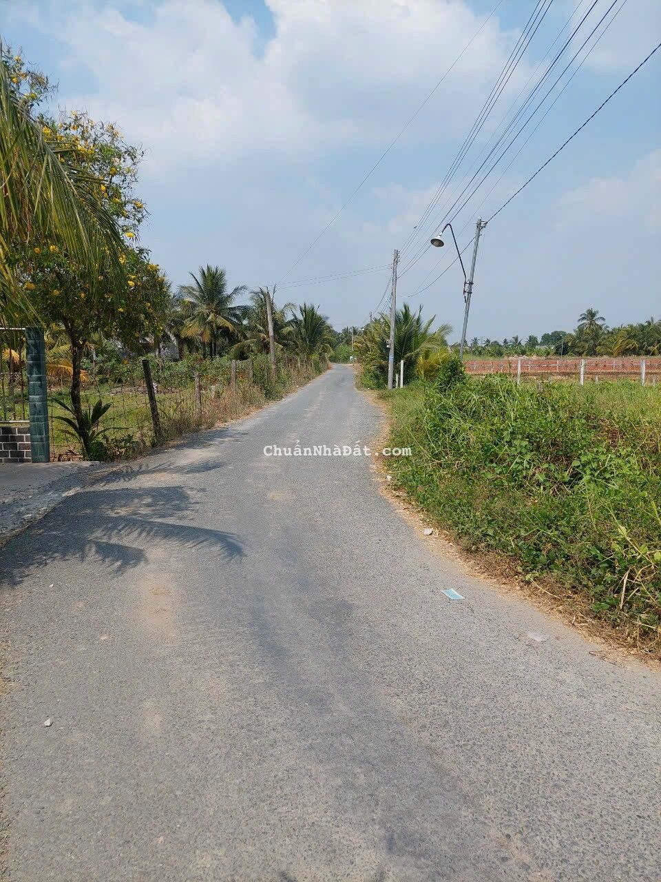 Bán đất thổ cư lô gốc thích hợp mở cà phê.ăn uống.xã mỷ phú huyện thủ thừa.tỉnh long an Bán đất thổ cư lô gốc thích hợp mở cà phê.ăn uống.xã mỷ phú huyện thủ thừa.tỉnh long an