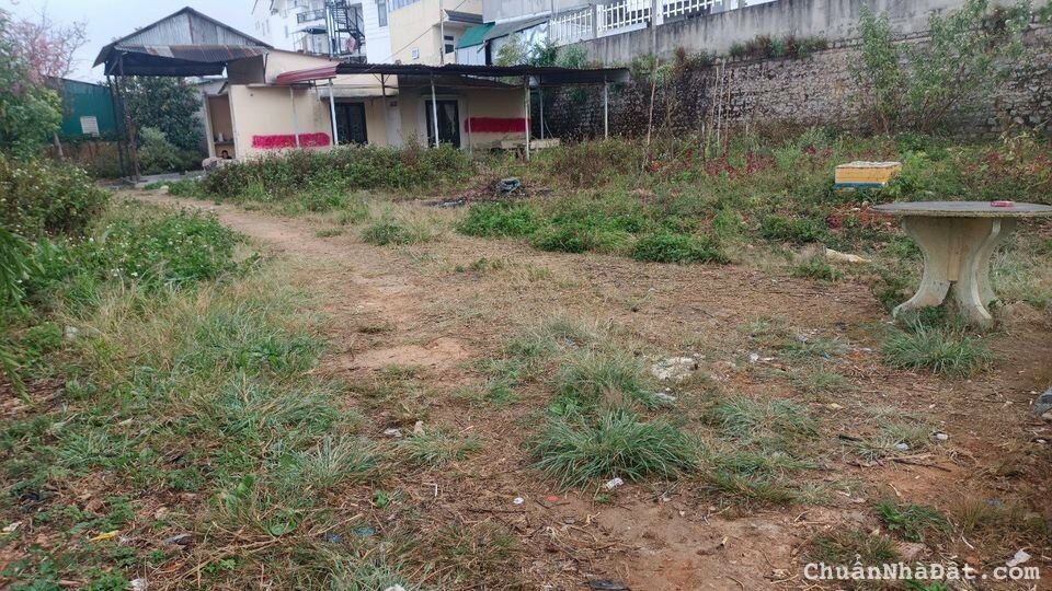 Bán Gấp Lô Đất ở Phù Đổng Thiên Vương, Phường 8, Đà Lạt. Gần Khách Sạn Kỳ Hòa