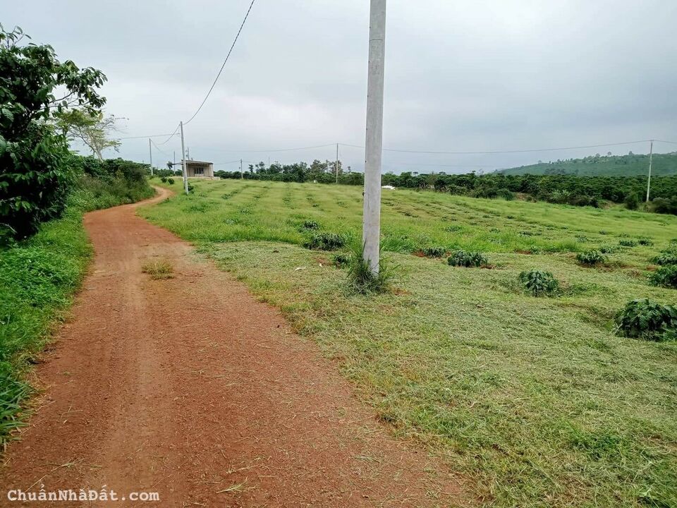 Cần Bán Lô Đất Sổ Riêng Nông Nghiệp ở Xã Lộc Phú, Bảo Lâm, Lâm Đồng