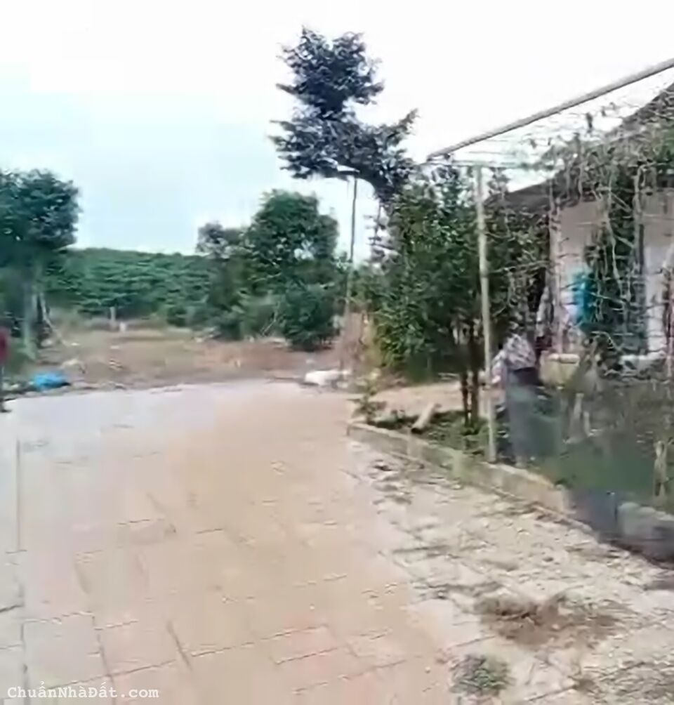 Cần Bán Lô Đất Sổ Riêng Nông Nghiệp ở Xã Lộc Phú, Bảo Lâm, Lâm Đồng