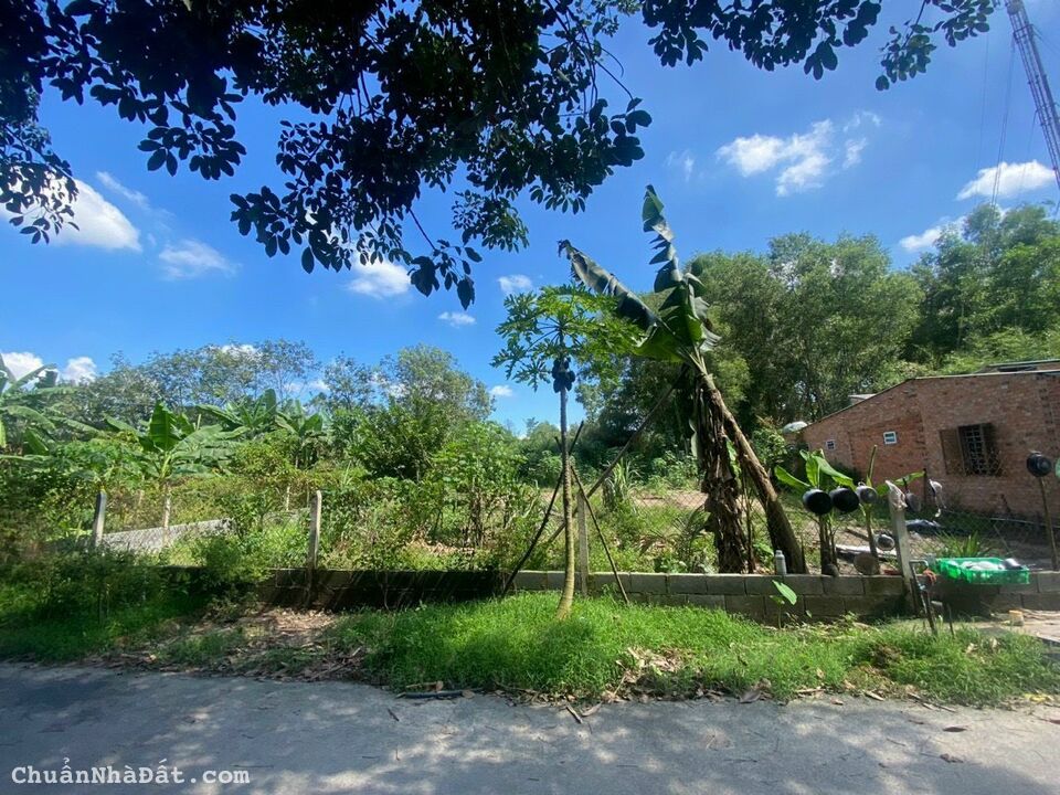 Đất Nhuận Đức , Huyện Củ Chi DT 20m x 36m = 705m2 ( Có 300m TC )