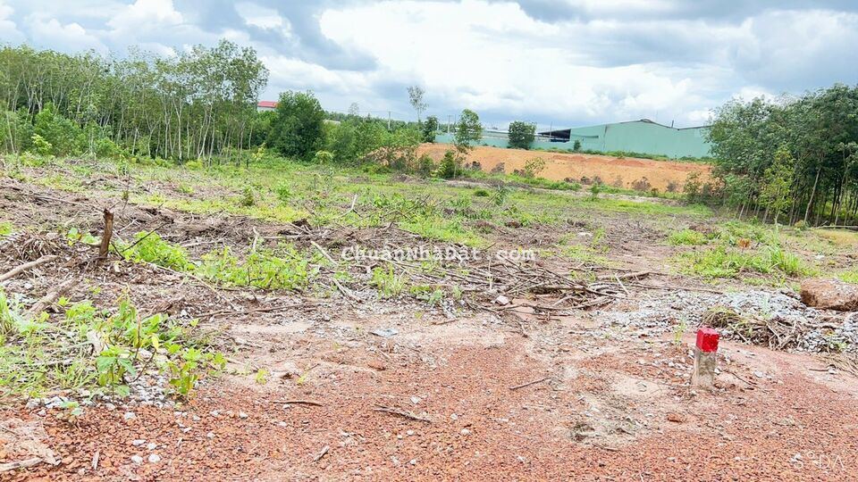 HƠN 200M2 SẴN 100M THỔ CƯ SHR, NẰM CẠNH KCN BECAMEX CHƠN THÀNH. GIÁ CHỈ 410 TRIỆU HƠN 200M2 SẴN 100M THỔ CƯ SHR, NẰM CẠNH KCN BECAMEX CHƠN THÀNH. GIÁ CHỈ 410 TRIỆU