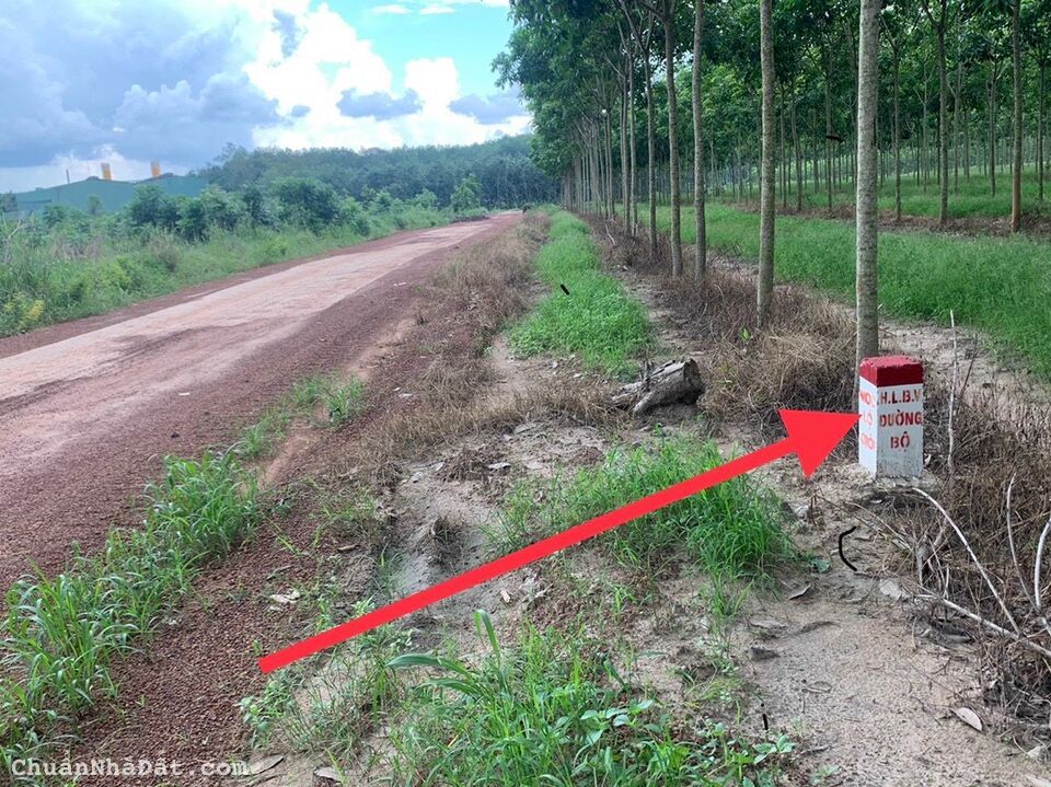 HƠN 200M2 SẴN 100M THỔ CƯ SHR, NẰM CẠNH KCN BECAMEX CHƠN THÀNH. GIÁ CHỈ 410 TRIỆU HƠN 200M2 SẴN 100M THỔ CƯ SHR, NẰM CẠNH KCN BECAMEX CHƠN THÀNH. GIÁ CHỈ 410 TRIỆU