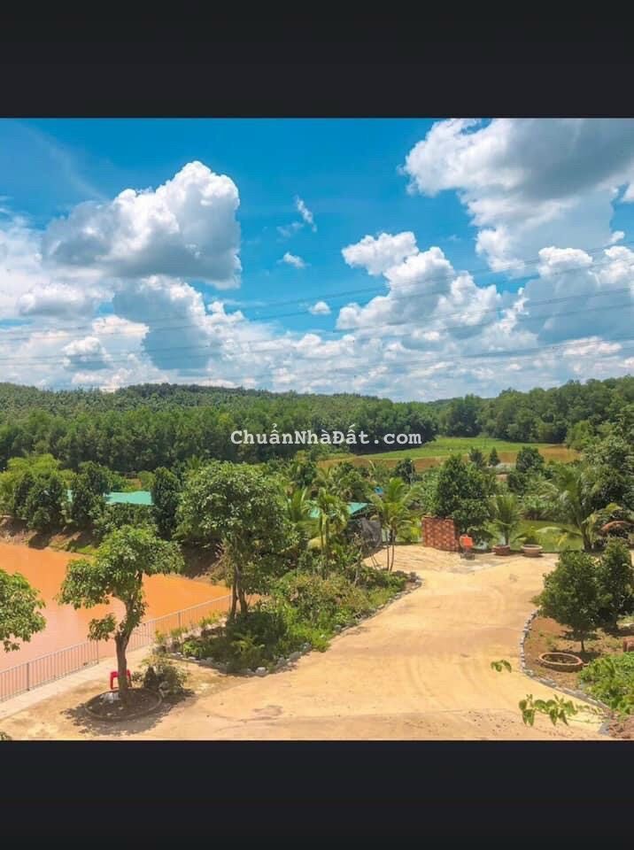 Đất sào hơn 7400m2 sẵn 100m thổ cư mặt tiền đường nhựa 12m, ngay view KDL sinh thái Đất sào hơn 7400m2 sẵn 100m thổ cư mặt tiền đường nhựa 12m, ngay view KDL sinh thái