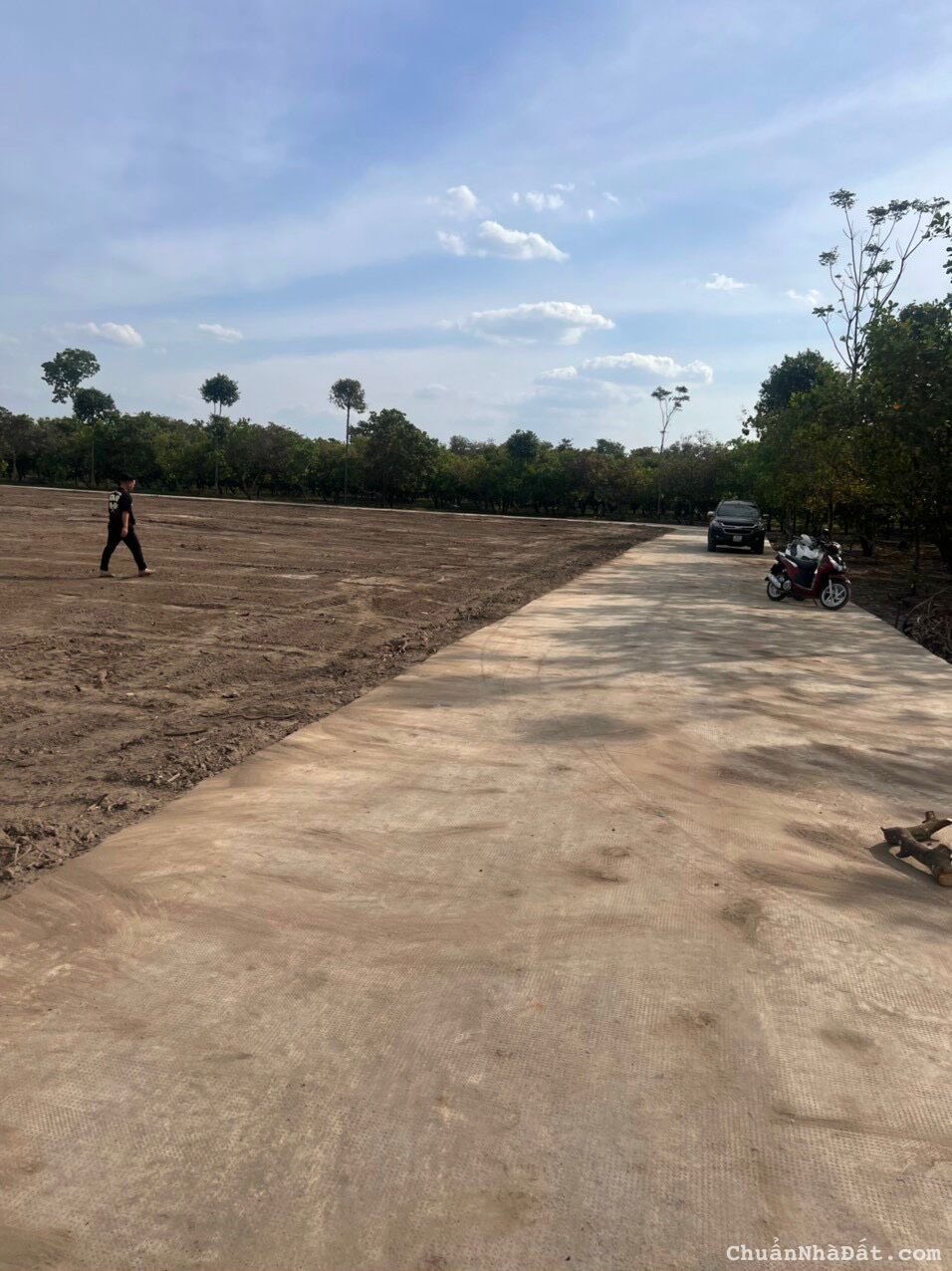 Cần bán gấp 250m2 sẵn 100m thổ cư SHR mặt tiền đường DT753B, cạnh 3 KCN Phú Riềng Giá chỉ 295 Triệu