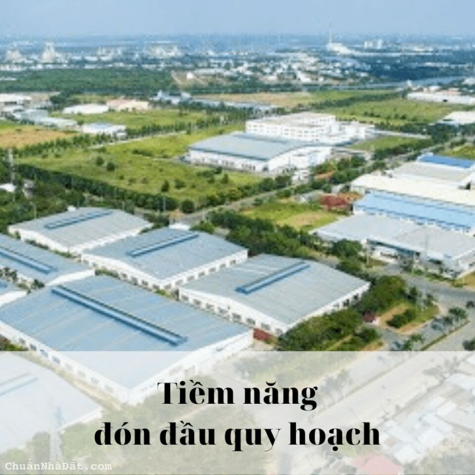 Cần bán gấp 250m2 sẵn 100m thổ cư SHR mặt tiền đường DT753B, cạnh 3 KCN Phú Riềng Giá chỉ 295 Triệu Cần bán gấp 250m2 sẵn 100m thổ cư SHR mặt tiền đường DT753B, cạnh 3 KCN Phú Riềng Giá chỉ 295 Triệu