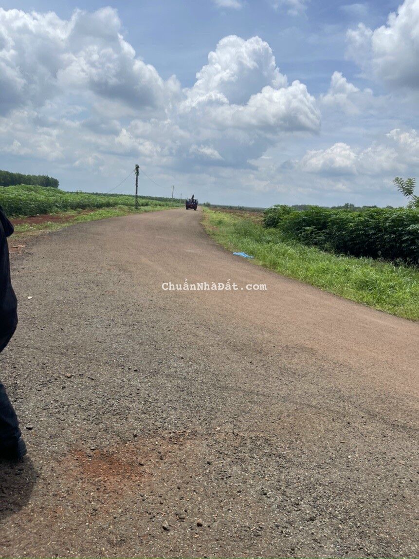 ĐẤT THỔ CƯ HƠN 250M2 MẶT TIỀN ĐƯỜNG NHỰA ĐH32M, SỔ SẴN VIEW KDL SINH THÁI ĐẤT THỔ CƯ HƠN 250M2 MẶT TIỀN ĐƯỜNG NHỰA ĐH32M, SỔ SẴN VIEW KDL SINH THÁI