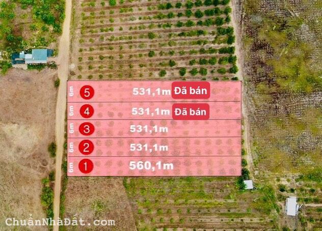 Chỉ 395 Triệu / Lô Tại Ninh Tân Ninh Hòa Khánh Hòa . Lh : 0912 47 3878