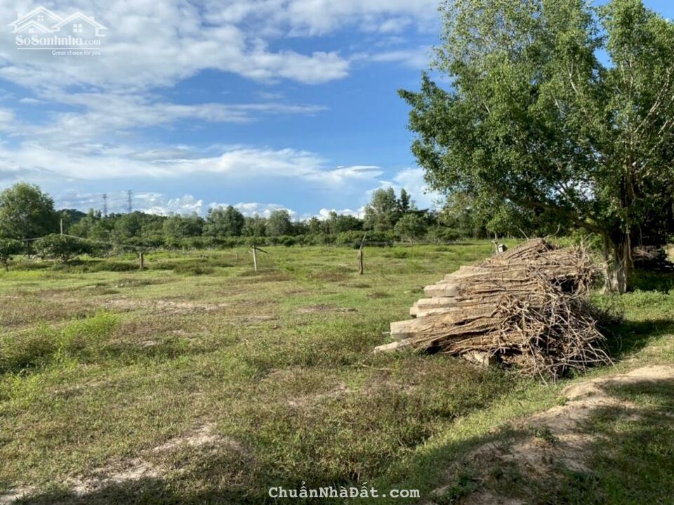 Bán 1,2 ha đất cây lâu năm Hồng Liêm, có ao, vườn điều sẵn siêu đẹp, thích hợp làm farmstay