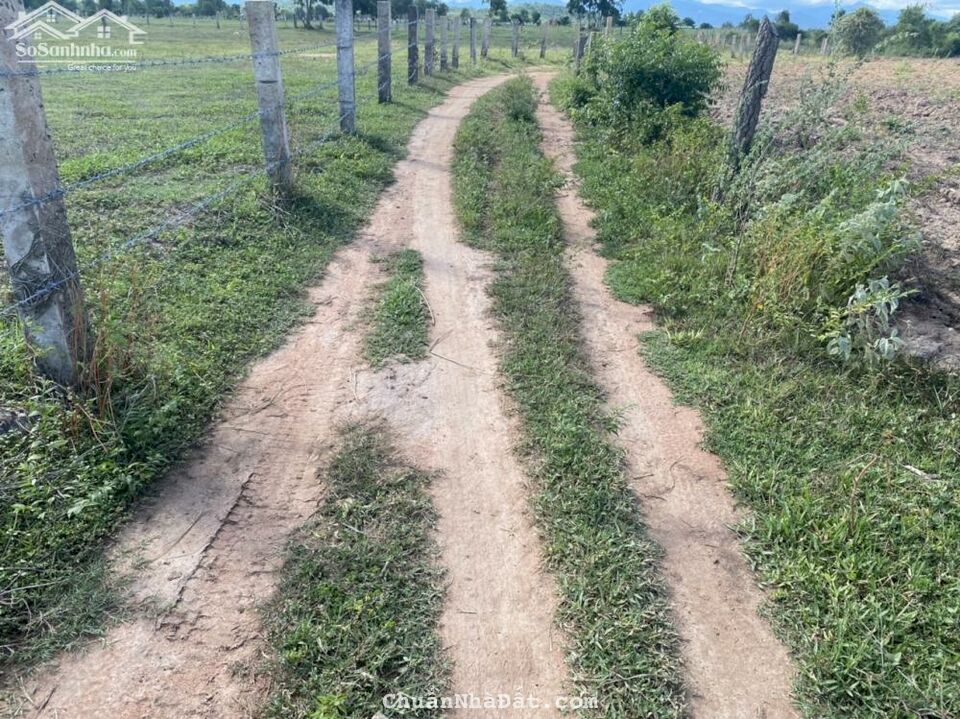 Bán lô đất cây lâu năm Hồng Liêm, HTB đường ô tô và dân cư hiện hữu diện tích 20.031m2 chỉ 190k/m2