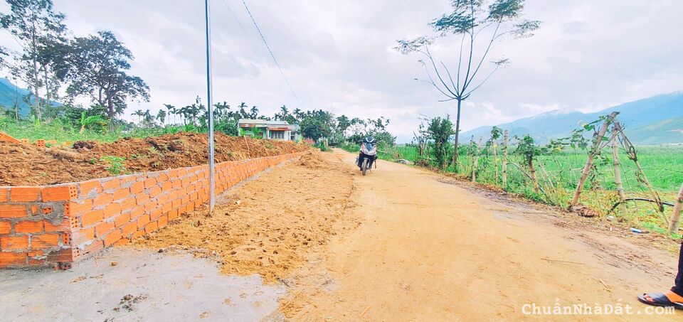 Đất nền Đại Hồng - Đại Lộc    