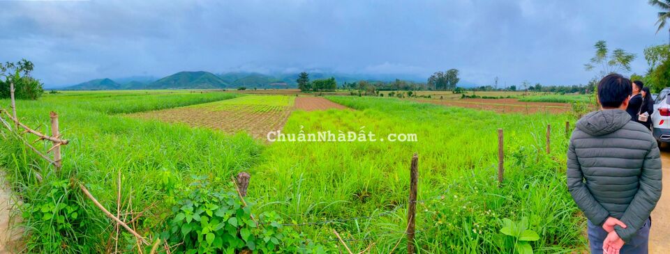 Đất nền Đại Hồng - Đại Lộc    